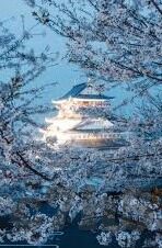 日本足球的比分直播-从比分直播到全民狂欢，日本足球如何用细节征服世界