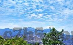 足球比分即时网500-足球比分即时网500，球迷的实时数据中枢与赛事分析利器