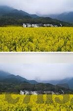 足球比分直播任九-足球比分直播与任九竞猜，一场数字与激情的双重盛宴