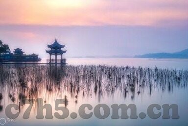 足球即时比分中-足球即时比分，赛场风云的实时脉搏