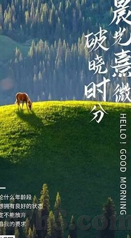 足球世界青年比分-足球世界青年赛场，比分背后的青春风暴与未来希望